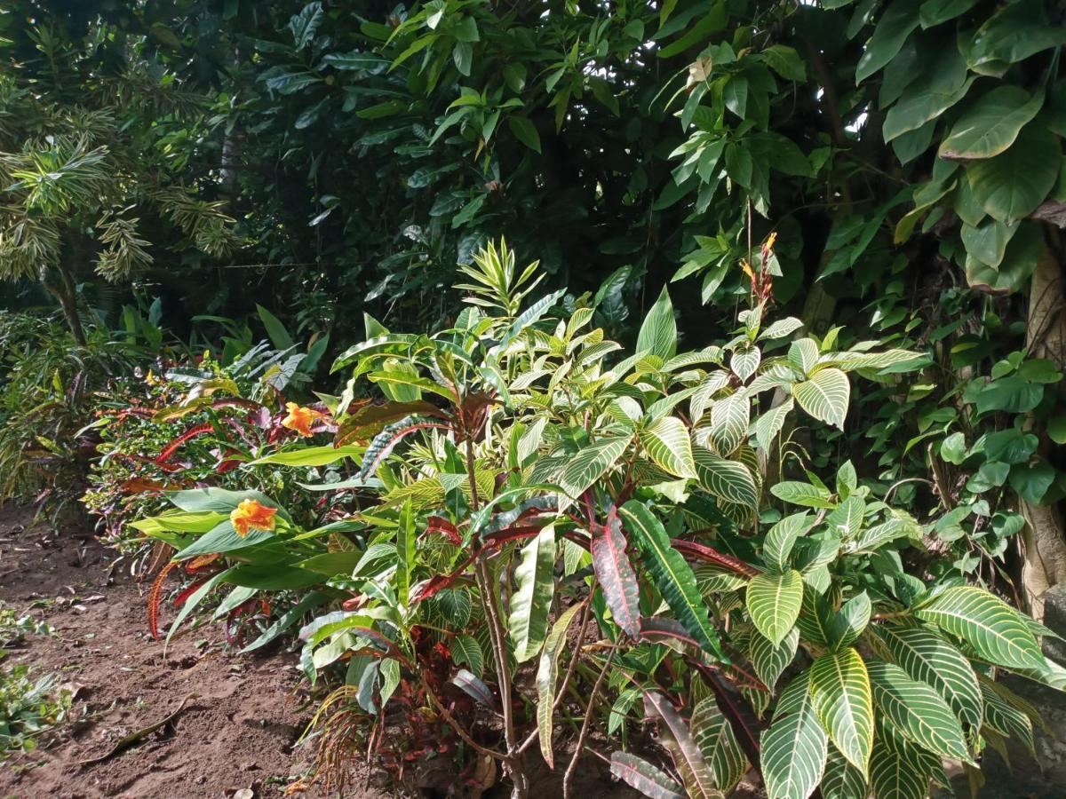 Tharul Home Bentota Exterior foto